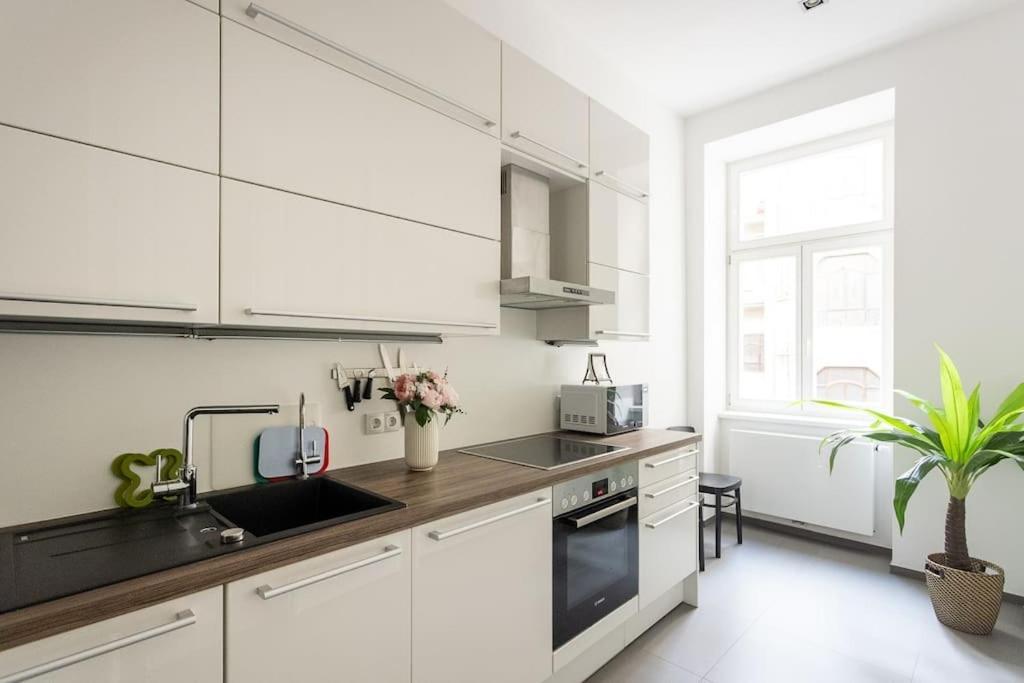Franz 24 - Typical Viennese Apartment In The Heart Of Wenen Buitenkant foto